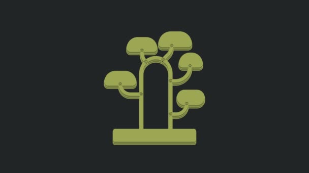 Zielona Afrykańska Ikona Drzewa Czarnym Tle Baobab Akacja Inne Animacja — Wideo stockowe