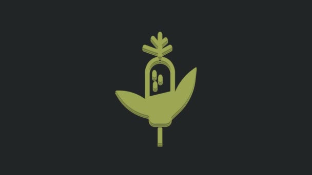 Green Corn Symbol Isoliert Auf Schwarzem Hintergrund Video Motion Grafik — Stockvideo