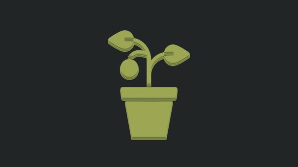 黒の背景に隔離されたポットアイコンの緑の植物 鉢の中で植物が成長する 鉢植えの看板 4Kビデオモーショングラフィックアニメーション — ストック動画
