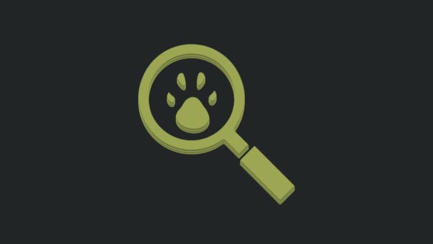 Green Paw Zoekpictogram Geïsoleerd Zwarte Achtergrond Vergrootglas Met Dierenvoetafdrukken Video — Stockvideo