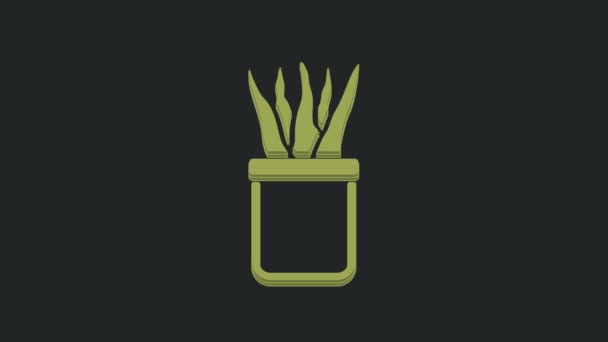 Zöld Növény Pot Ikon Elszigetelt Fekete Alapon Növény Egy Edényben — Stock videók