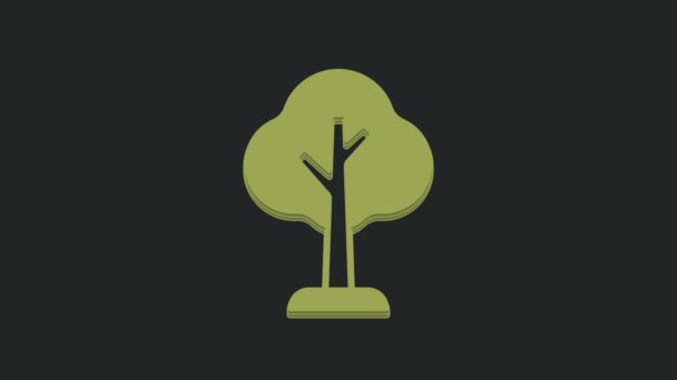 Ícone Árvore Verde Isolado Fundo Preto Símbolo Florestal Animação Gráfica — Vídeo de Stock