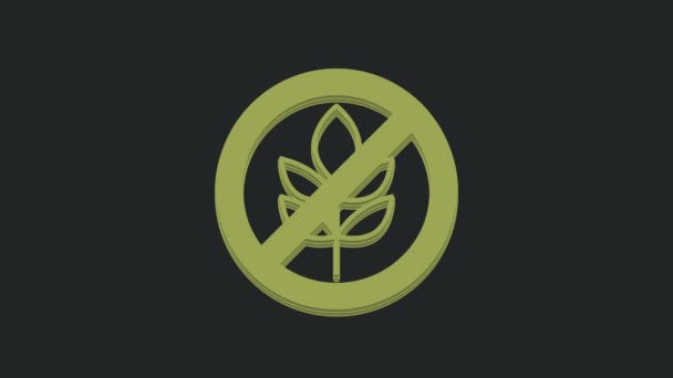 Зеленый Безглютеновый Иконка Зерна Изолированы Черном Фоне Пшеничного Знака Символы — стоковое видео
