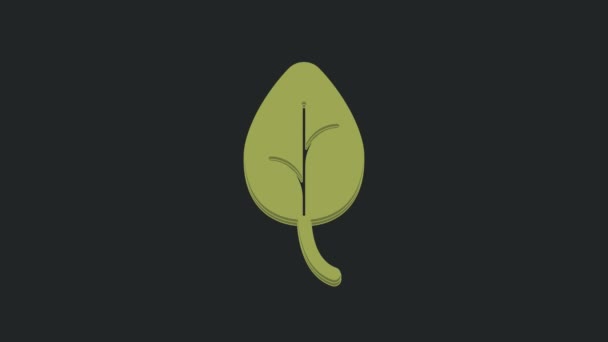 绿叶图标隔离在黑色背景上 叶子的标志 新鲜的自然产品符号 4K视频运动图形动画 — 图库视频影像