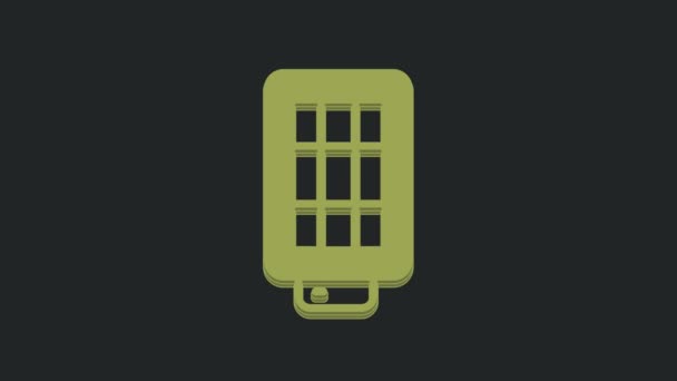 Green Studio Glühbirne Softbox Symbol Isoliert Auf Schwarzem Hintergrund Design — Stockvideo