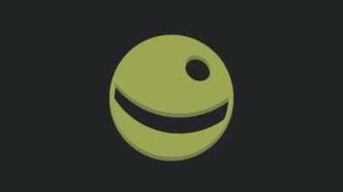 Yeşil Sahildeki top ikonu siyah arkaplanda izole edilmiş. Çocuk oyuncağı. 4K Video hareketli grafik canlandırması.