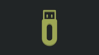 Siyah arkaplanda yeşil USB flash disk simgesi izole edildi. 4K Video hareketli grafik canlandırması.