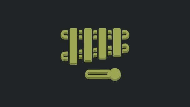 Green Xylophone Музичний Інструмент Тринадцятьма Дерев Яними Брусами Двома Зубчастими — стокове відео