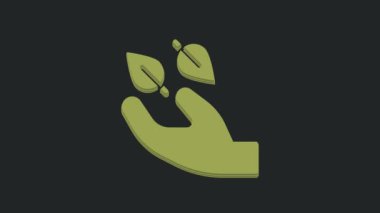Eldeki yeşil çay yaprağı simgesi siyah arkaplanda izole edilmiş. Çay yaprakları. 4K Video hareketli grafik canlandırması.