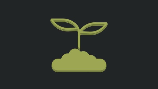 Ikona Zeleného Čaje Izolované Černém Pozadí Čaj Grafická Animace Pohybu — Stock video
