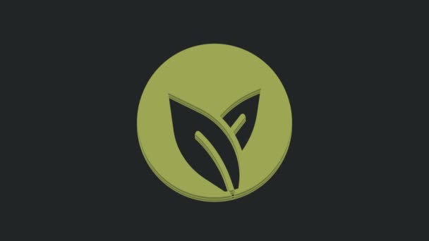 绿茶叶图标孤立在黑色背景上 4K视频运动图形动画 — 图库视频影像
