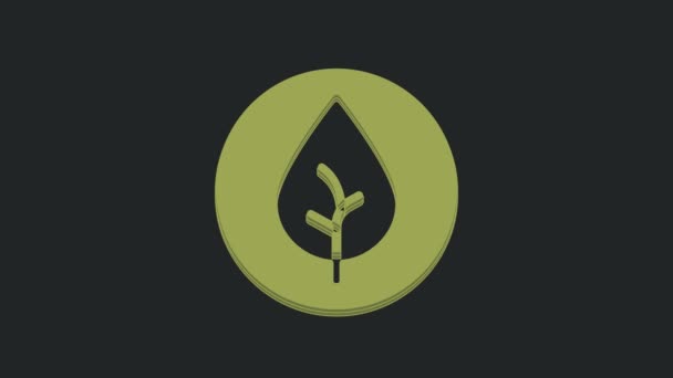 Ikona Zeleného Čaje Izolované Černém Pozadí Čaj Grafická Animace Pohybu — Stock video