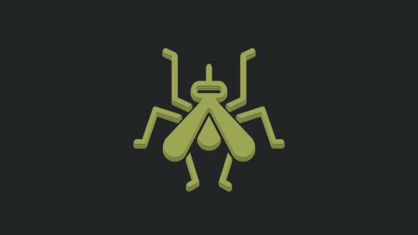 黒の背景に隔離された緑の蚊のアイコン 4Kビデオモーショングラフィックアニメーション — ストック動画