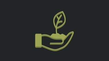 Çevre koruma ikonunun elindeki yeşil bitki siyah arka planda izole edildi. Tohum ve tohum. Fidan dikiyorum. 4K Video hareketli grafik canlandırması.