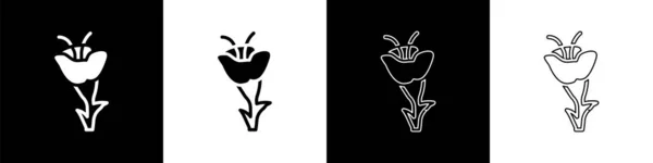 Imposta Icona Fiore Isolato Sfondo Bianco Nero Vettore — Vettoriale Stock