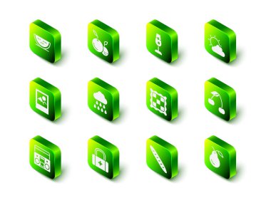 Meyve, şarap kadehi, güneş ve bulut havası, kiraz, armut, kareli peçete, Fransız baget ekmeği ve ilk yardım çantası ikonu. Vektör