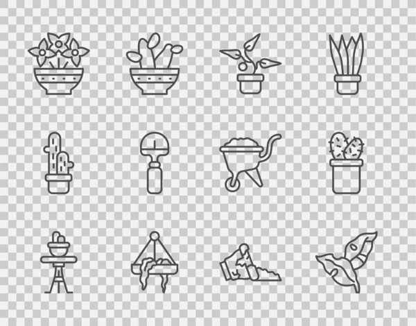 Définir Ligne Plante Pot Sur Table Feuilles Tropicales Pendaison Vase — Image vectorielle