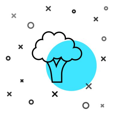 Siyah çizgi Brokoli simgesi beyaz arkaplanda izole edildi. Rastgele dinamik şekiller. Vektör