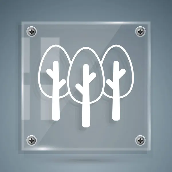 Weißbaumsymbol Isoliert Auf Grauem Hintergrund Symbol Wald Quadratische Glasscheiben Vektor — Stockvektor
