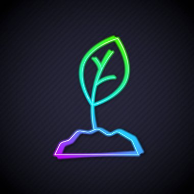 Parlayan neon çizgisi simgesi siyah arkaplanda izole edildi. Tohum ve tohum. İşaret bırakıyor. Yaprak doğası. Vektör.