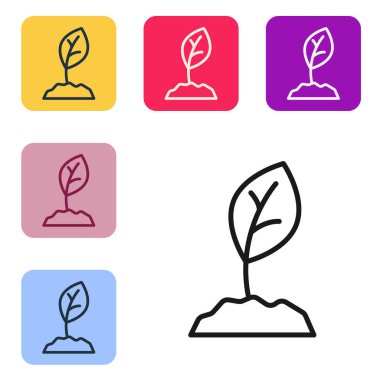 Beyaz arka planda siyah çizgi filiz simgesi izole edildi. Tohum ve tohum. İşaret bırakıyor. Yaprak doğası. Renkli kare düğmelerle simgeleri ayarla. Vektör