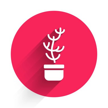 Esrar ikonundaki beyaz egzotik bitki uzun gölgeli izole edilmiş. Kırmızı daire düğmesi. Vektör.