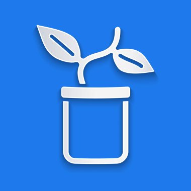 Kağıt kesiği, saksı ikonundaki bitki mavi arka planda izole edilmiş. Tencerede yetişen bir bitki. Saksı bitkisi işareti. Kağıt sanatı tarzı. Vektör.