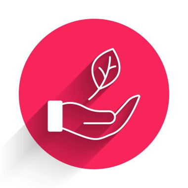 Beyaz El, bitki simgesinden uzun gölgeli bir yaprak tutuyor. Doğayı koru. Yaprak, çevre korumasıyla çekiliyor. Kırmızı daire düğmesi. Vektör