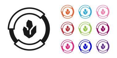 Black Agricultural soil test and results icon isolated on white background. Digital soil analysis. Set icons colorful. Vector