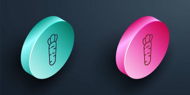 Isometric line Carrot icon isolated on black background. Turquoise and pink circle button. Vector.