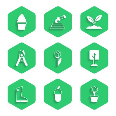 Çiçek lalesi, meşe palamudu, saksı, orman, lastik eldiven, bahçe yapımı el yapımı makas, filizlenme ve kaktüs peyote ikonu. Vektör