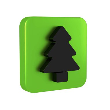 Şeffaf arkaplanda Kara Ağaç simgesi izole edildi. Orman sembolü. Yeşil kare düğmesi.