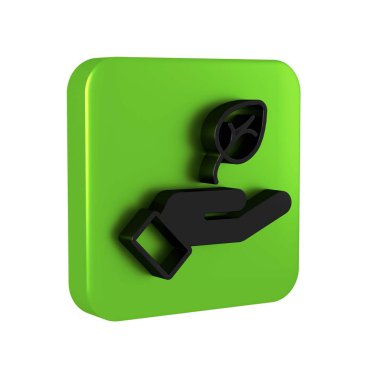 Çevre koruma ikonunun elindeki Kara Santral şeffaf bir arkaplanda izole edilmiş. Tohum ve tohum. Fidan dikiyorum. Ekoloji konsepti. Yeşil kare düğmesi. .