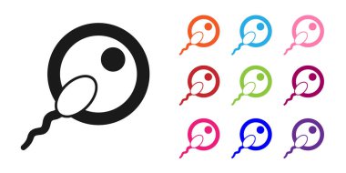 Beyaz arkaplanda siyah sperm simgesi izole edildi. Simgeleri renklendirin. Vektör