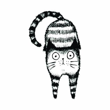 Beyaz arka planda komik kedinin vektör çizimi