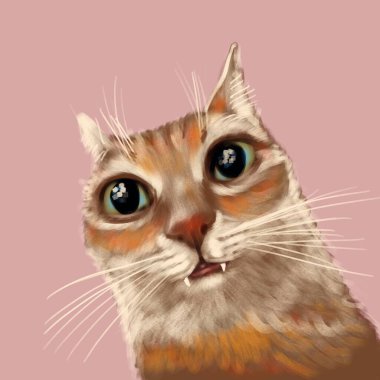 Komik Meme Kedi Yüzlü Çizgi Film Sanatı İllüstrasyonu