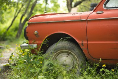 Terk edilmiş eski bir araba, arabanın tekerleği çimen ve çiçeklerle kaplanmış.