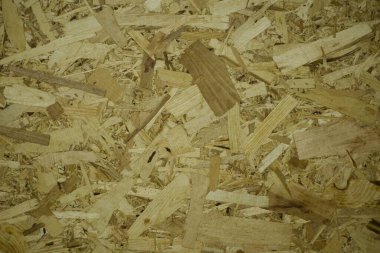 Arkaplan ve tasarım için doğal ahşap desenli Hollywood dokusu.