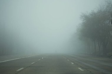 Arabaların yolu neredeyse sis yüzünden kapalı.