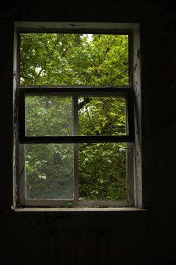 Koyu yeşil yaprakların penceresinden karanlık ve terk edilmiş bir binanın görüntüsü