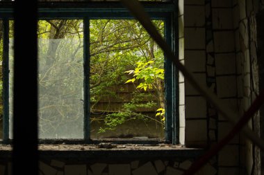 Koyu yeşil yaprakların penceresinden karanlık ve terk edilmiş bir binanın görüntüsü