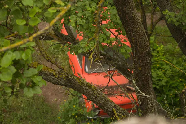 stock image an abandoned red old car stands on an abandoned area overgrown with bushes