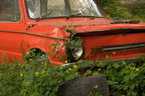 stock image an abandoned red old car stands on an abandoned area overgrown with bushes
