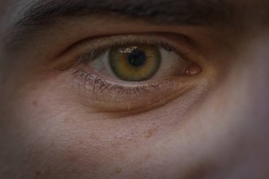 Doğal ışıkta büyüleyici bir fındık gözü olan bir insan gözünün yakın çekimi. Derinin detaylı dokusu ve kirpikleri görüntüye derinlik ve gerçekçilik ekler..