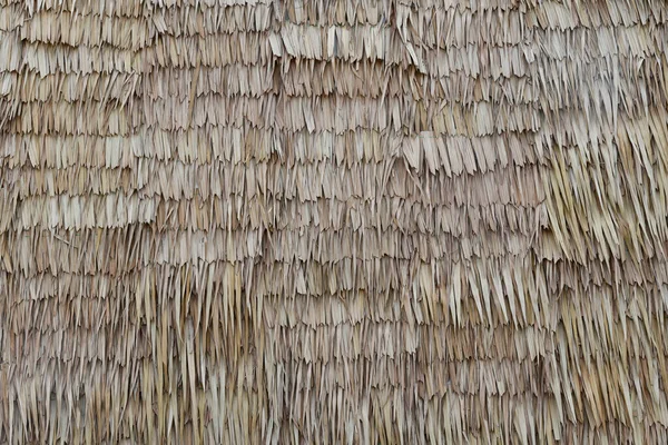 Bruin Traditioneel Grasgebruik Voor Dak Achtergrond Textuur Wallpaper Close — Stockfoto