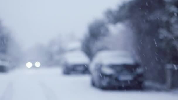 Blizzard Heavy Snow Storm Detail Slow Motion Video Wild Falling — Stockvideo