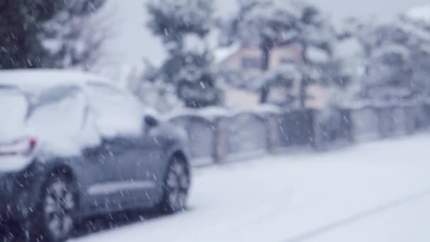 Blizzard Heavy Snow Storm Detail Slow Motion Video Wild Falling — Wideo stockowe