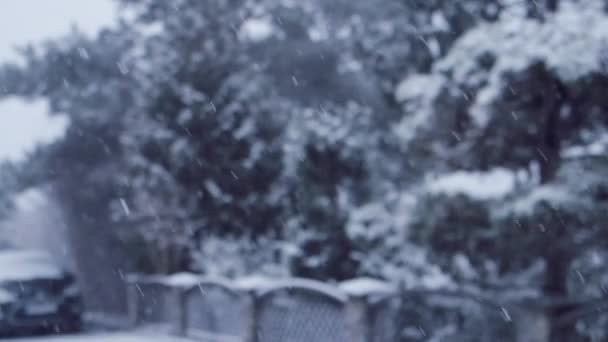 Blizzard Heavy Snow Storm Detail Slow Motion Video Wild Falling — стоковое видео