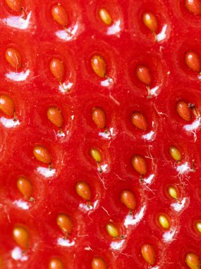 Tohumları gösteren kırmızı olgun çileğe (Fragaria ananassa) yakın çekim. Taze meyve dokusunun detaylı yüzey makro görüntüsü. Organik tarım, sağlıklı yiyecekler, BIO videoları, doğa konseptine dönüş..