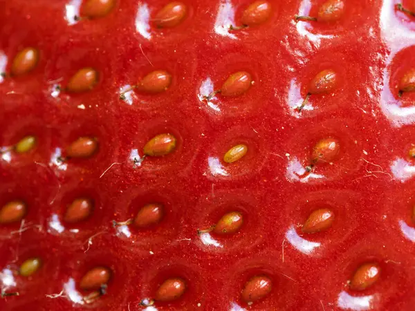 Tohumları gösteren kırmızı olgun çileğe (Fragaria ananassa) yakın çekim. Taze meyve dokusunun detaylı yüzey makro görüntüsü. Organik tarım, sağlıklı yiyecekler, BIO videoları, doğa konseptine dönüş..